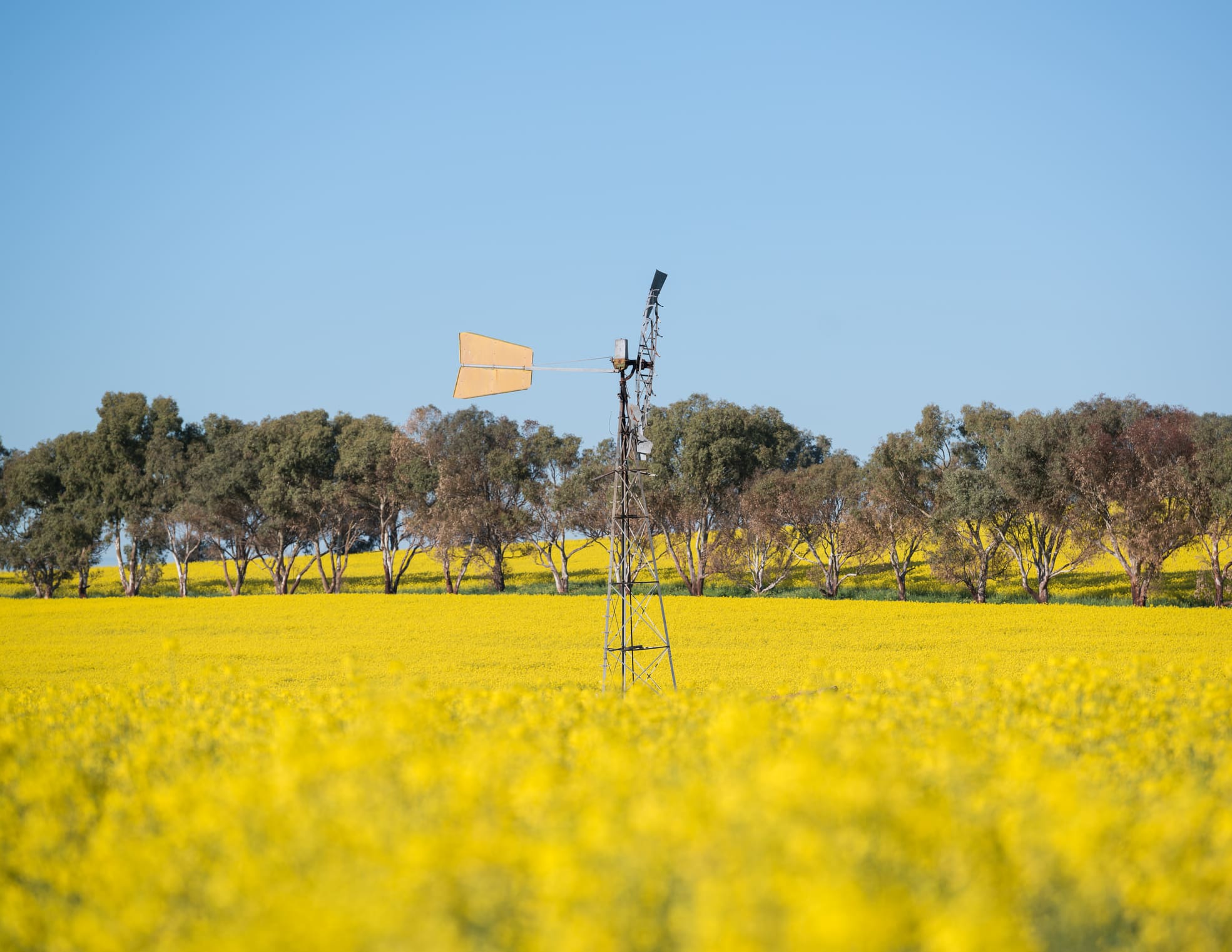 Confidence slips in regional WA amid skills shortages, rising costs