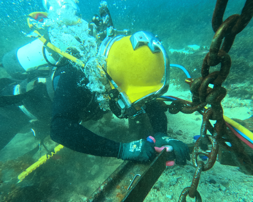 Specialist marine business making waves in niche market