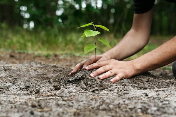 Consultation: Revised National Environmental Standard: Offsets