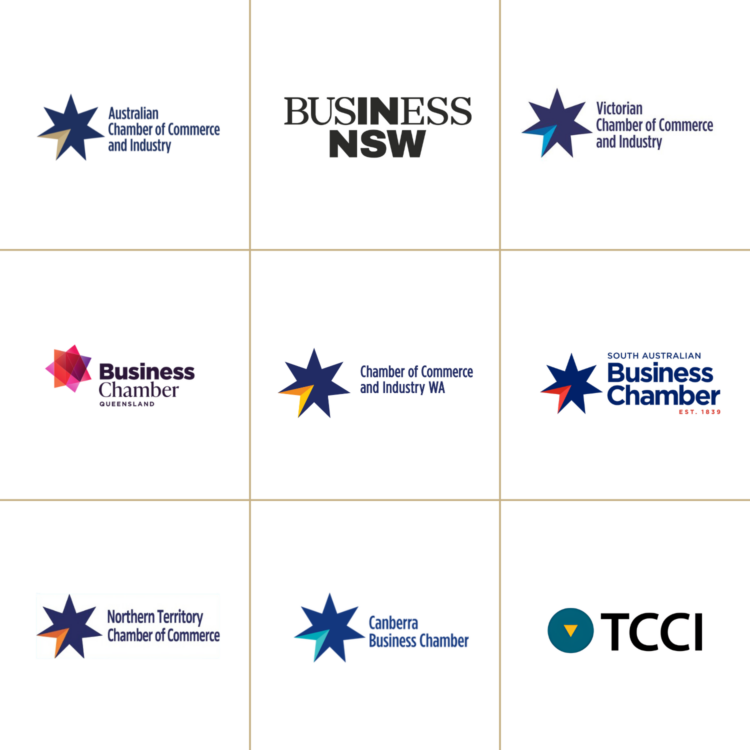 chamber network chamber network